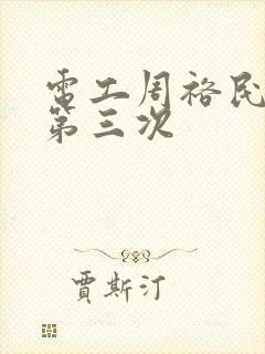 电工周裕民刘芳第三次