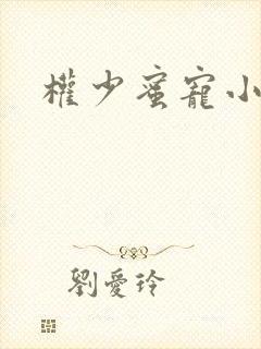 权少蜜宠小娇妻