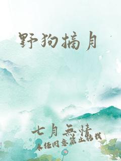 野狗摘月
