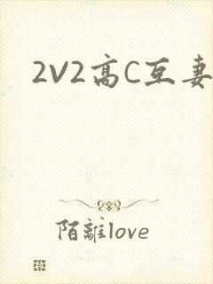 2V2高C互妻