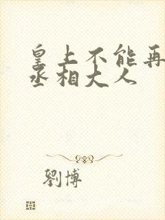 皇上不能再进了丞相大人