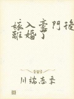 嫁入豪门后我又离婚了