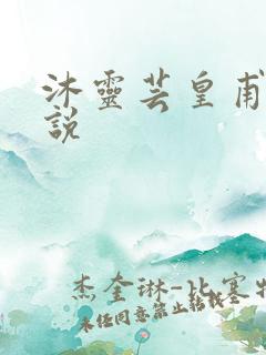 沐灵芸皇甫霆小说