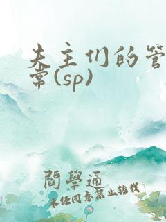 夫主们的管教日常(sp)