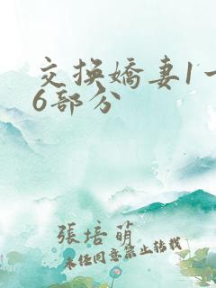 交换娇妻1一36部分
