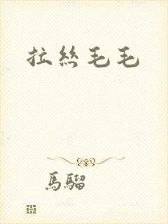 拉丝毛毛