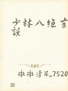 少林八绝有声小说