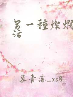 另一种灿烂的生活