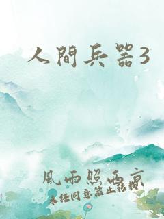 人间兵器3