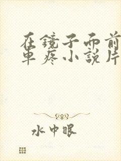 在镜子面前做开车疼小说片段