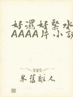 好湿好紧水多AAAAA片小说