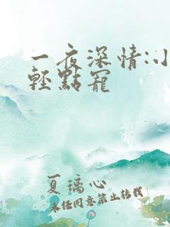 一夜深情:小叔轻点宠