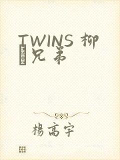 TWINS 柳澤兄弟