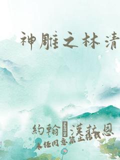 神雕之林清传