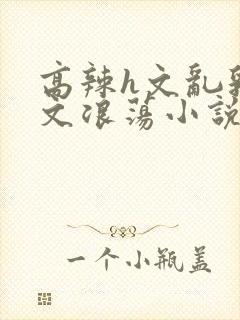 高辣h文乱乳h文浪荡小说txt