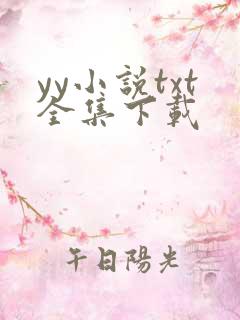yy小说txt全集下载