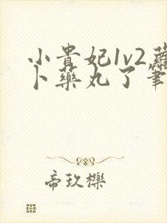 小贵妃1v2萝卜药丸了笔趣阁