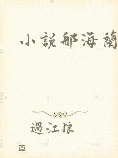 小说那海兰珠