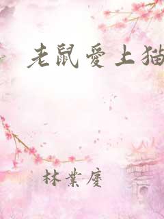 老鼠爱上猫下载