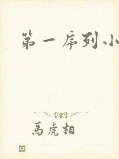 第一序列小说