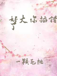 好大你插错地方了