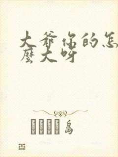 大爷你的怎么这么大呀