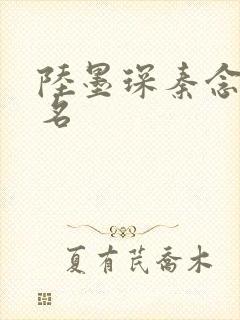 陆墨琛秦念小说名