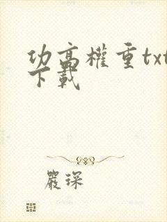 功高权重txt下载