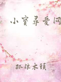 小宝寻爱网址