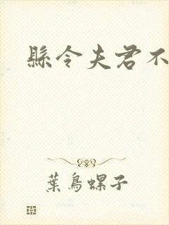 县令夫君不升堂