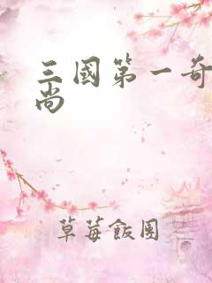 三国第一奇兵袁尚