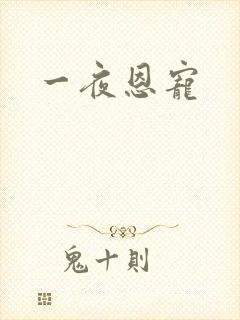 一夜恩宠