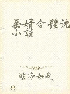 岳婿合体沈绝的小说