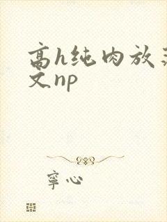 高h纯肉放荡h文np