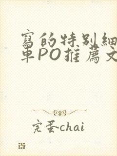 写的特别细的开车PO推荐文多人