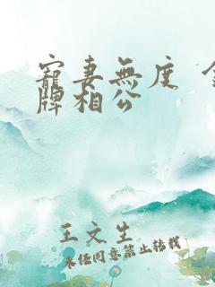 宠妻无度  金牌相公