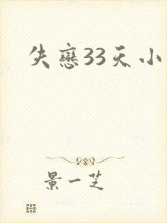 失恋33天小说