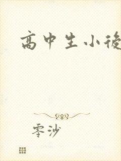 高中生小后妈