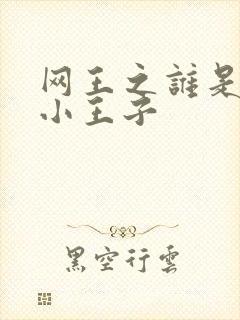 网王之谁是我的小王子
