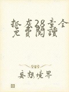 抓灰28章全部免费阅读