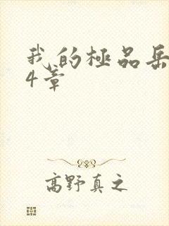 我的极品岳坶34章