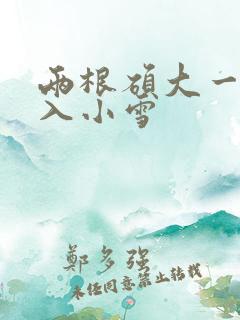 两根硕大一起挤入小雪