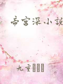 帝宫深小说