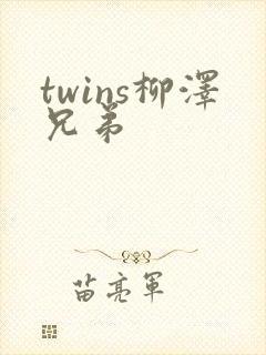 twins柳泽兄弟