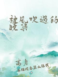 被风吹过的夏天晓渠