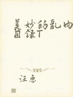 美妙的乱肉沉沦目录T