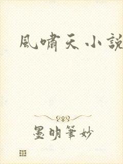 风啸天小说