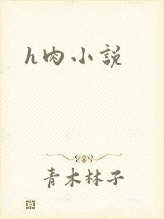 h肉小说