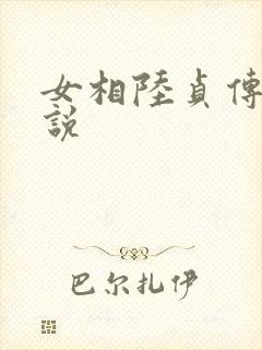 女相陆贞传奇小说