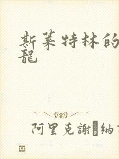 斯莱特林的铂金龙